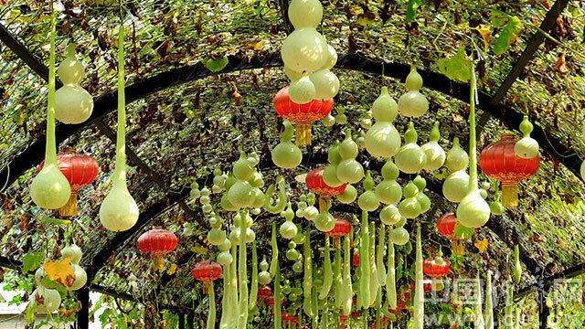 葫芦里卖啥药？非遗传承人用火绘技艺“画”出致富经！【全景新闻】(图4)